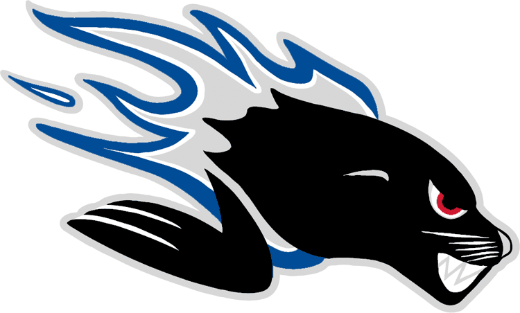 saint john sea dogs 2005-pres primary logo iron on transfers for T-shirts